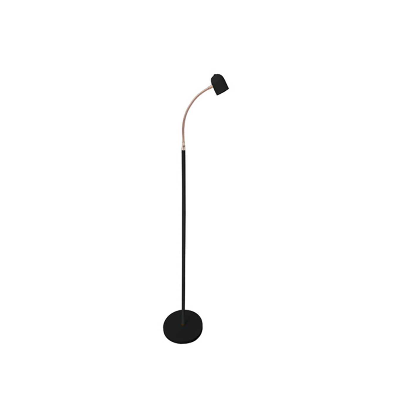 Black and Antique Brass LED Floor Lamp 51"H