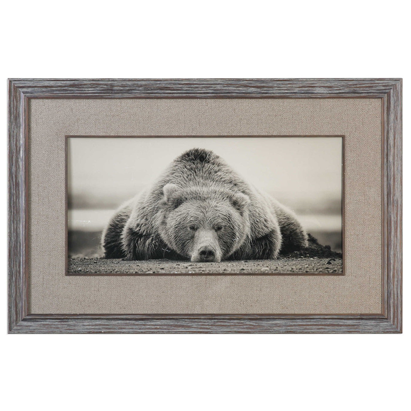 Sepia Sleeping Bear Framed Print 50"W x 32"H