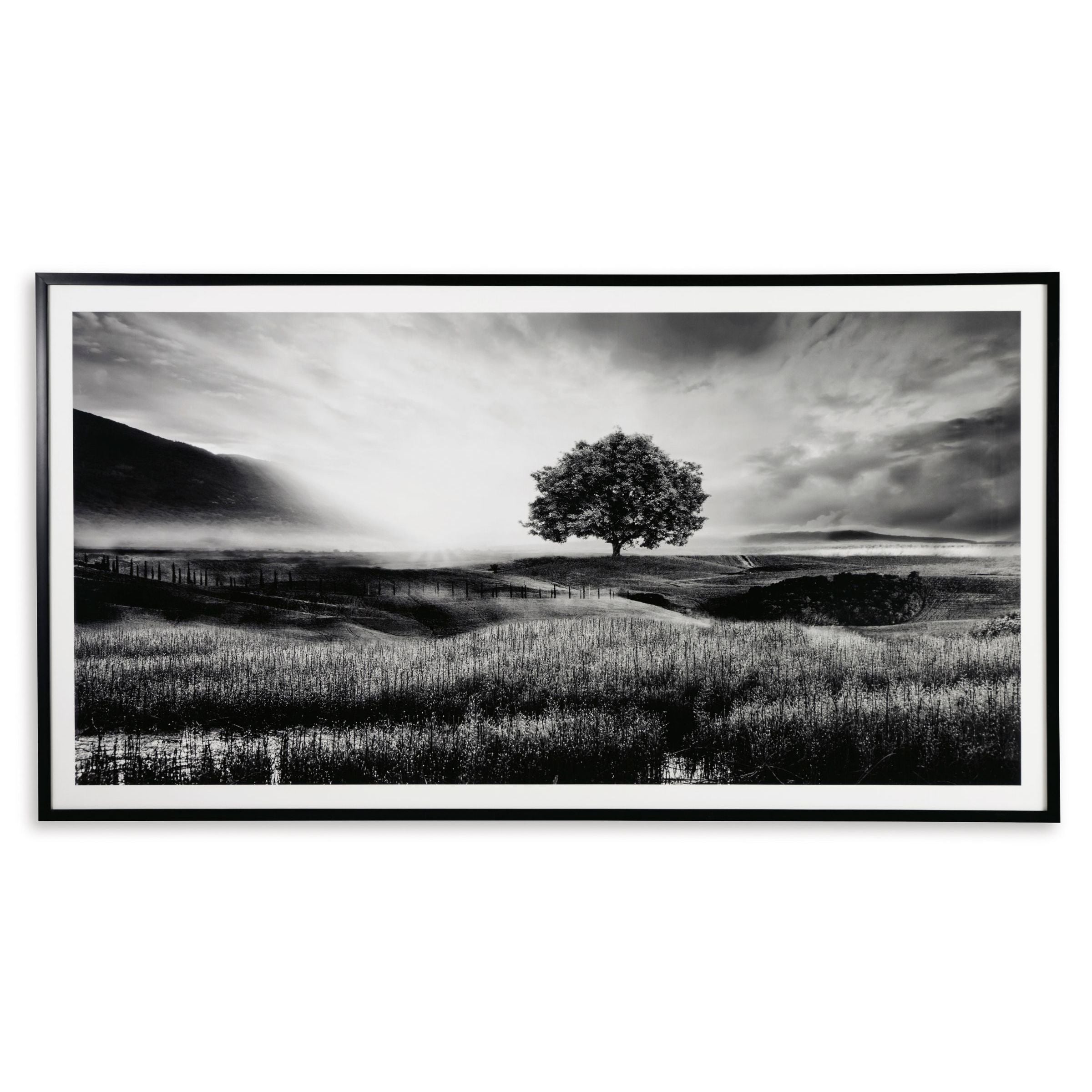 Black and White Field Sunrise Framed Print 86"W x 47"H