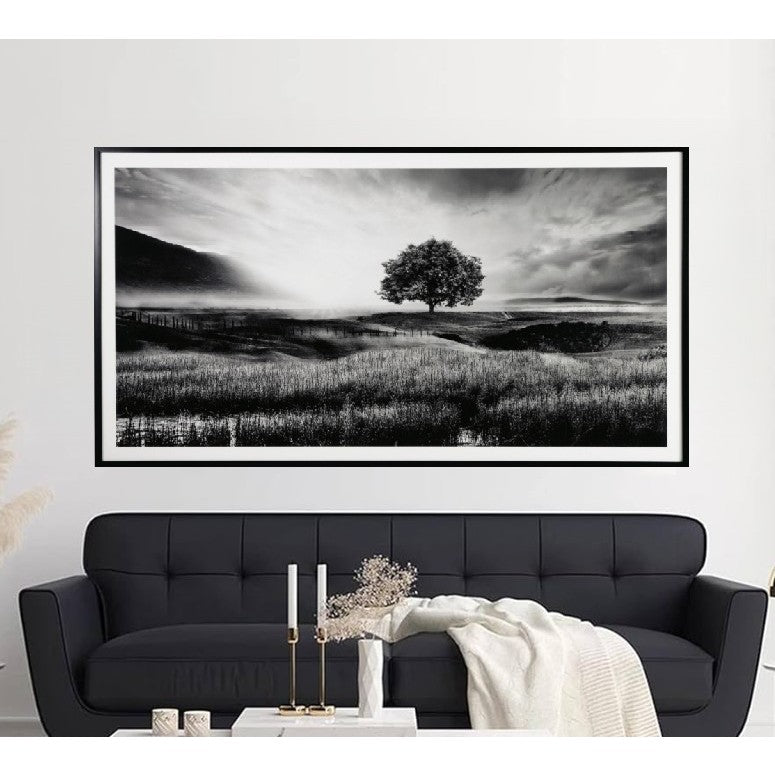Black and White Field Sunrise Framed Print 86"W x 47"H
