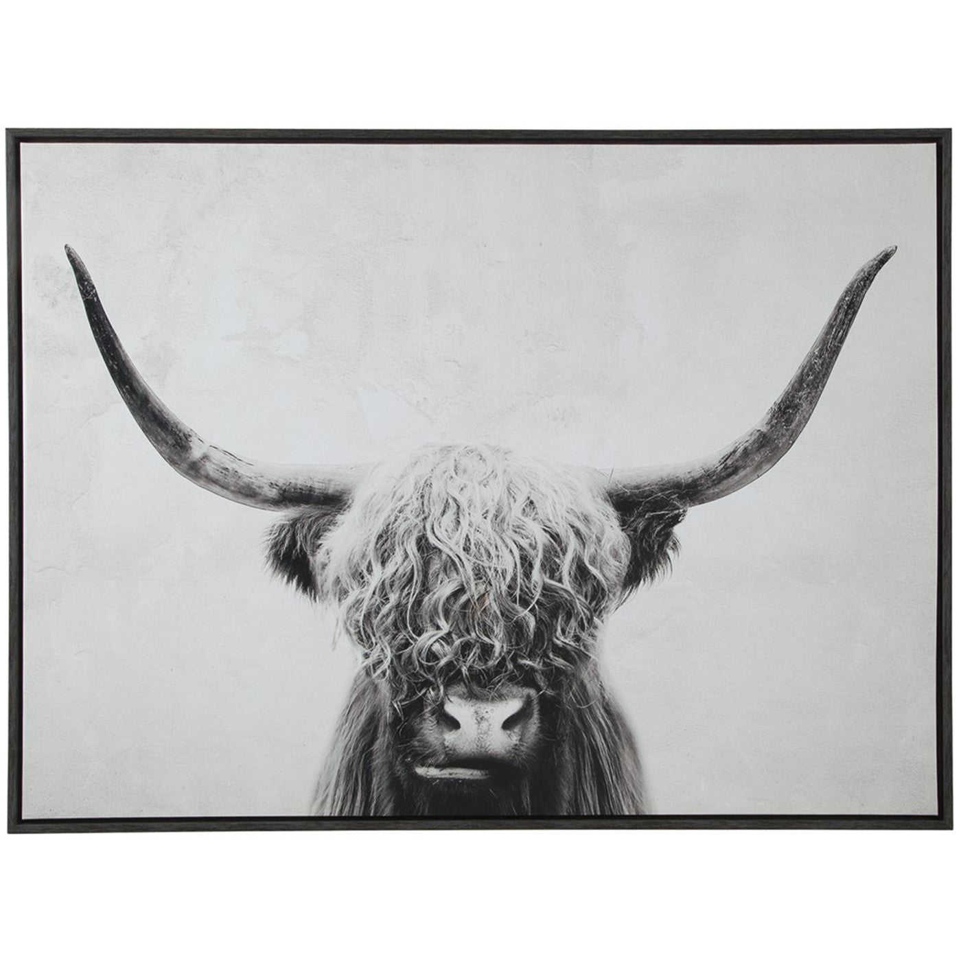 Black and White Highland Cow Framed Canvas Art 48"W x 36"H