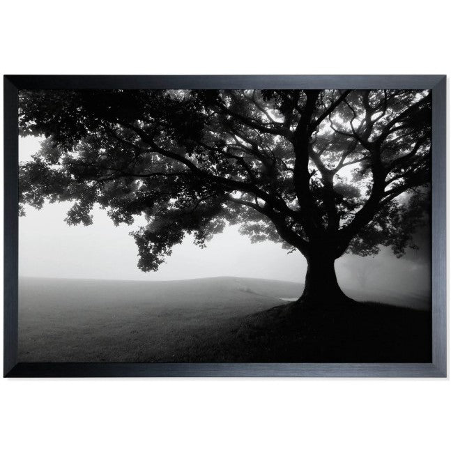 Black and White Tree Framed Print Under Glass 39"W x 27"H