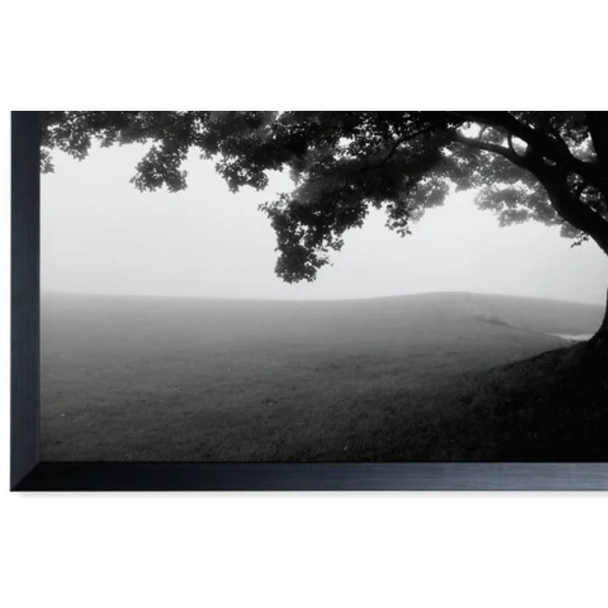 Black and White Tree Framed Print Under Glass 39"W x 27"H
