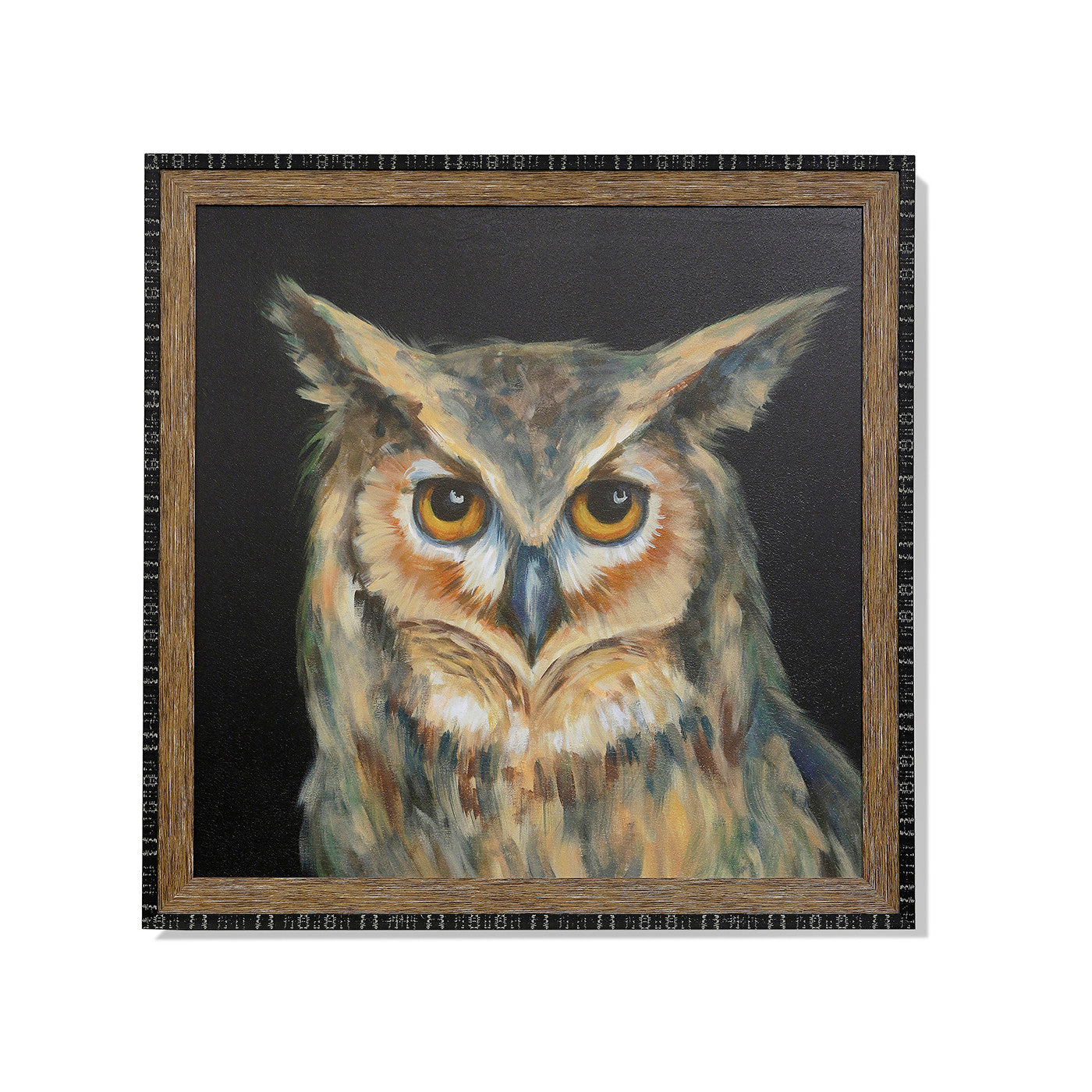 Owl Portrait Framed Art 40"W x 40"H