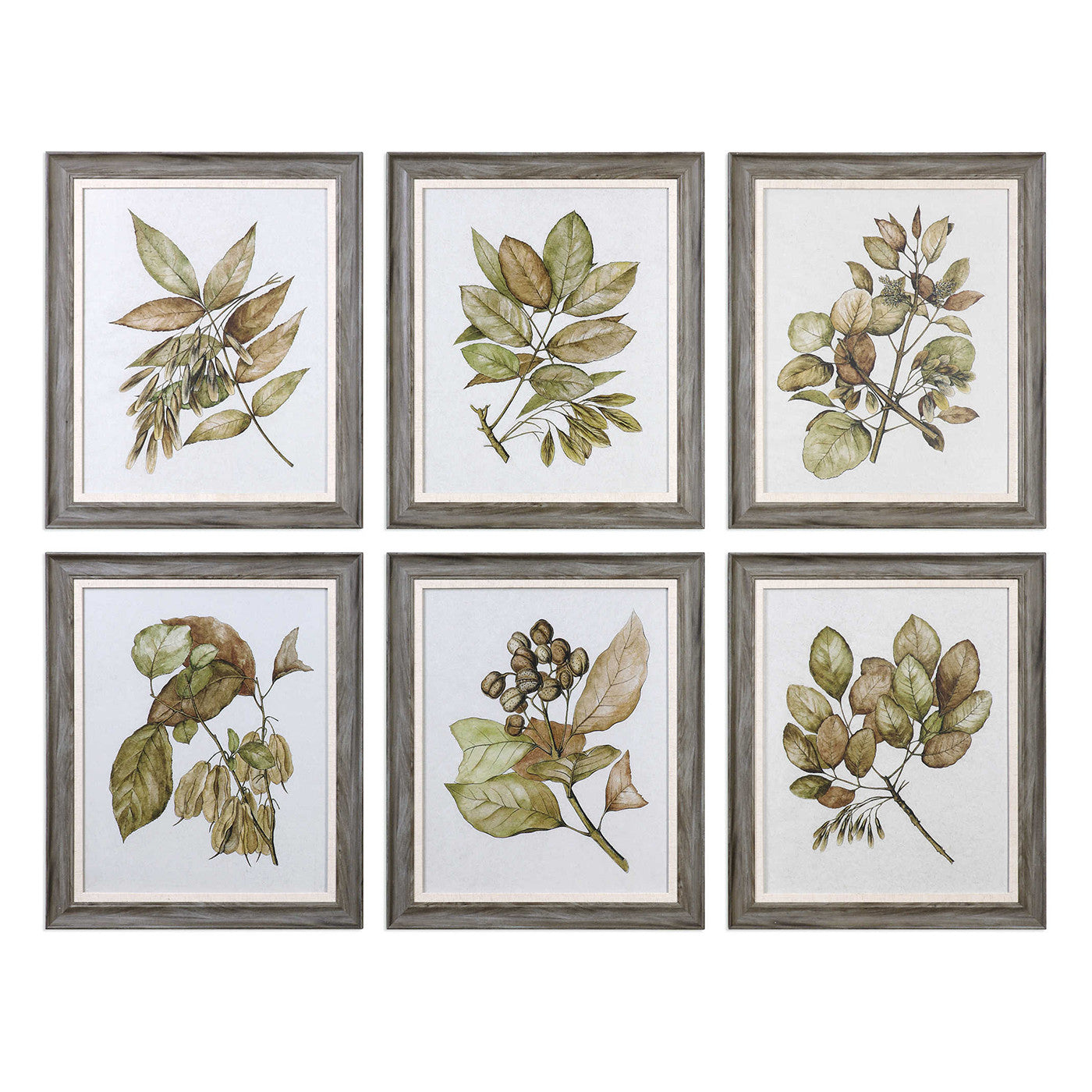 Set of 6 Botanical Framed Prints 20"W x 24"H