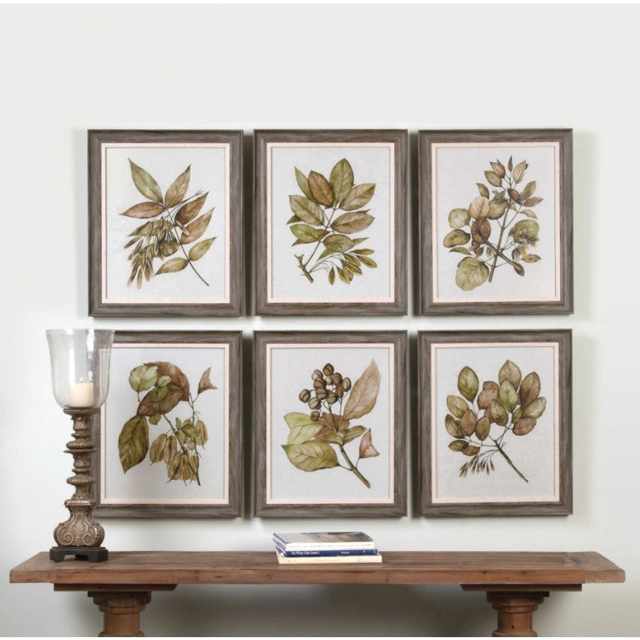 Set of 6 Botanical Framed Prints 20"W x 24"H