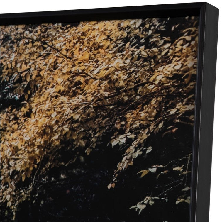 Autumn Railroad Track Framed Tempered Glass Art 48"W x 32"H