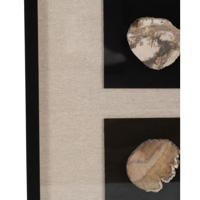 Petrified Stone Framed Shadow Box 16"W x 48"H