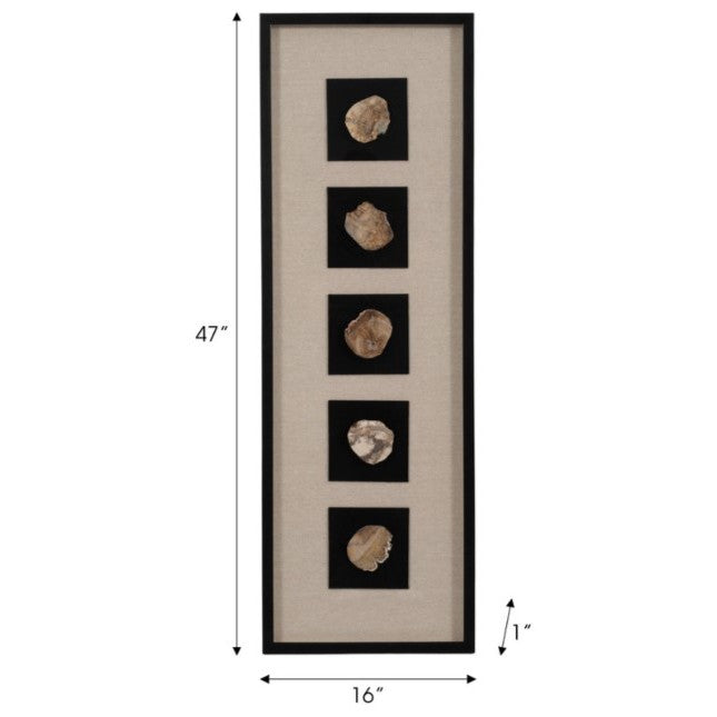 Petrified Stone Framed Shadow Box 16"W x 48"H