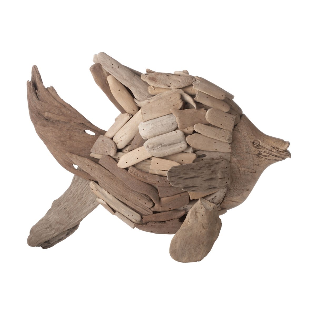 Driftwood Angelfish Sculpture 16"W x 12"H
