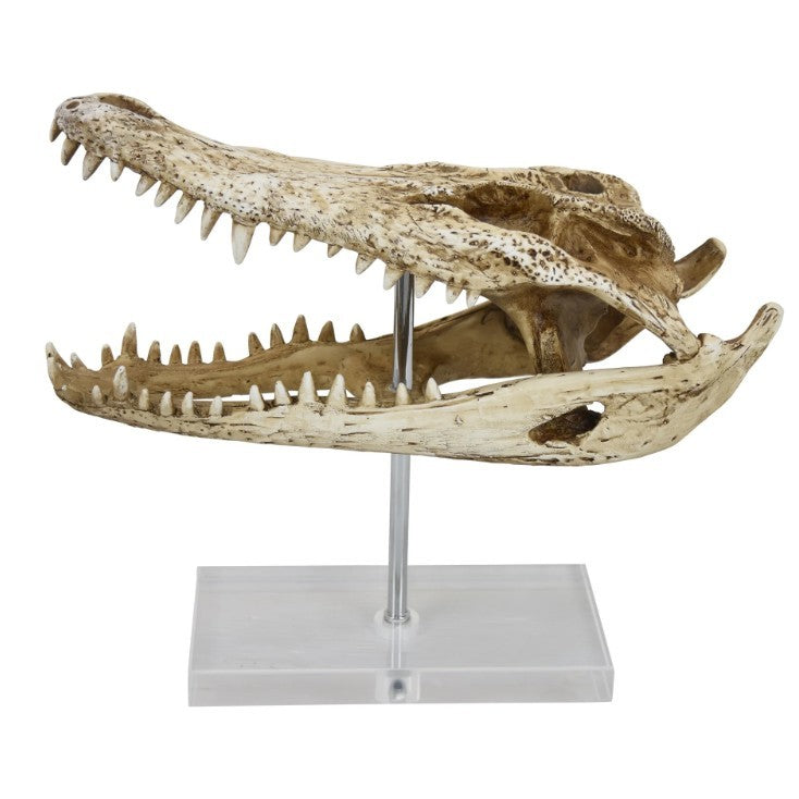 Crocodile Head On Base Sculpture 13"W x 11"H