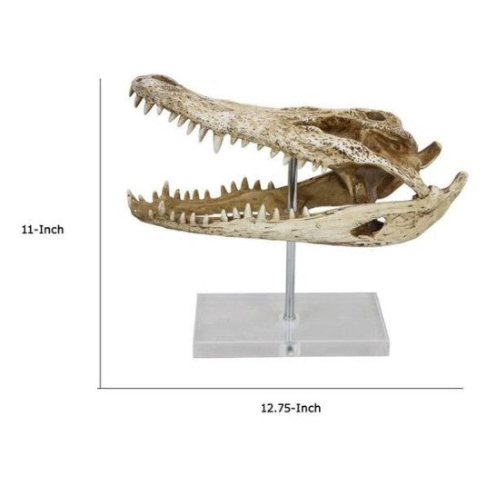 Crocodile Head On Base Sculpture 13"W x 11"H