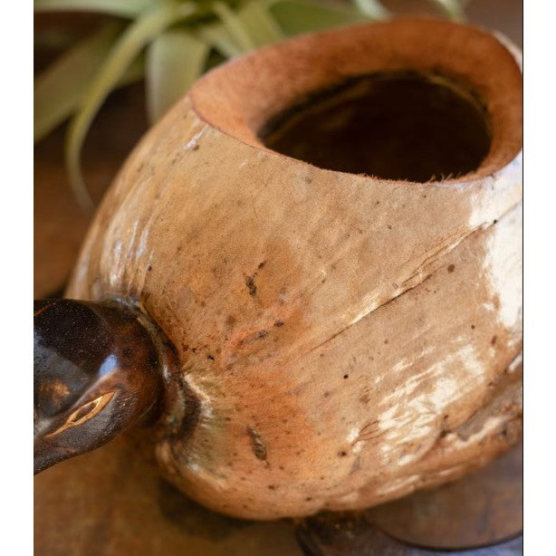 Coconut Turtle Planter 14"W x 6.5"H