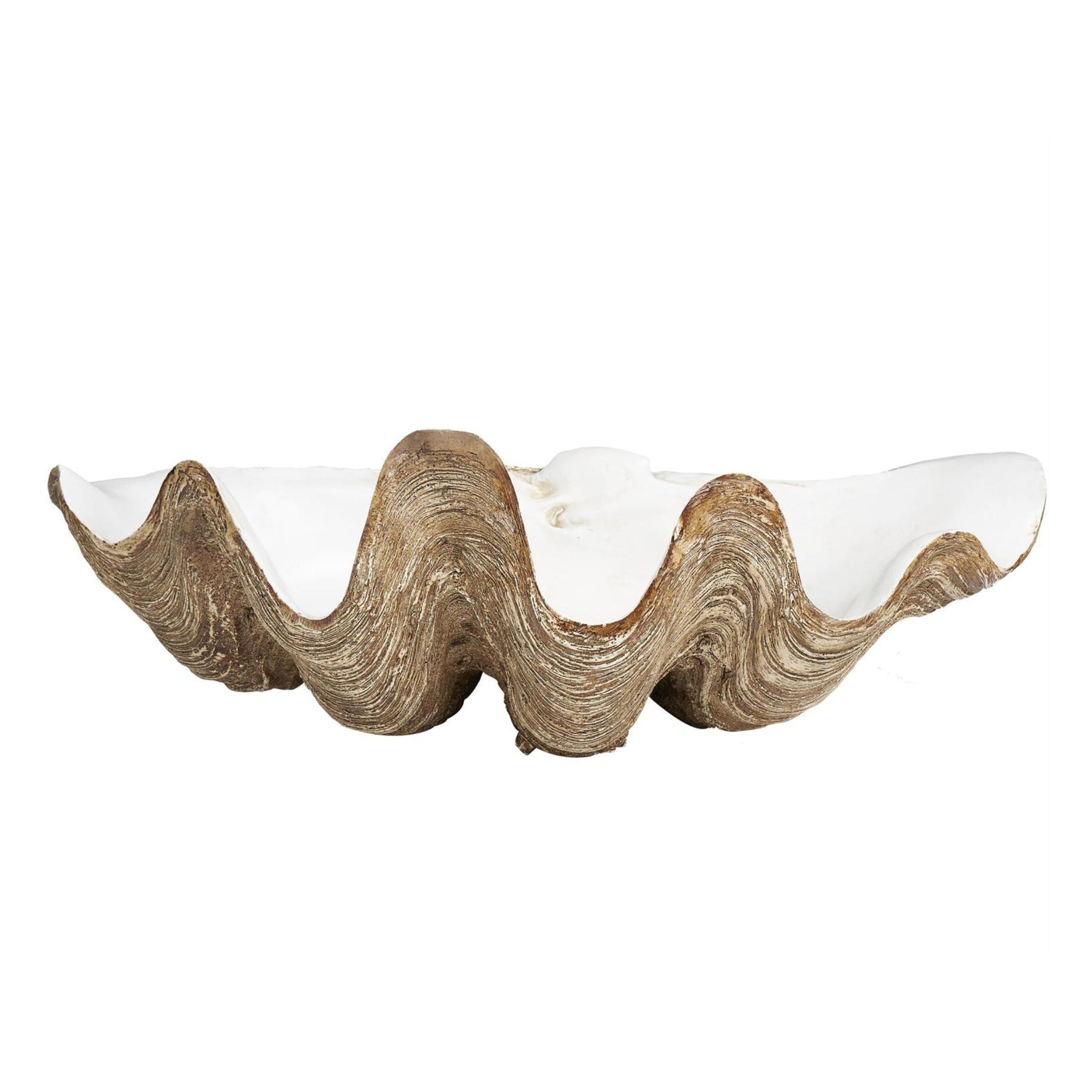 White and Brown Shell Bowl 20"W x 8"H