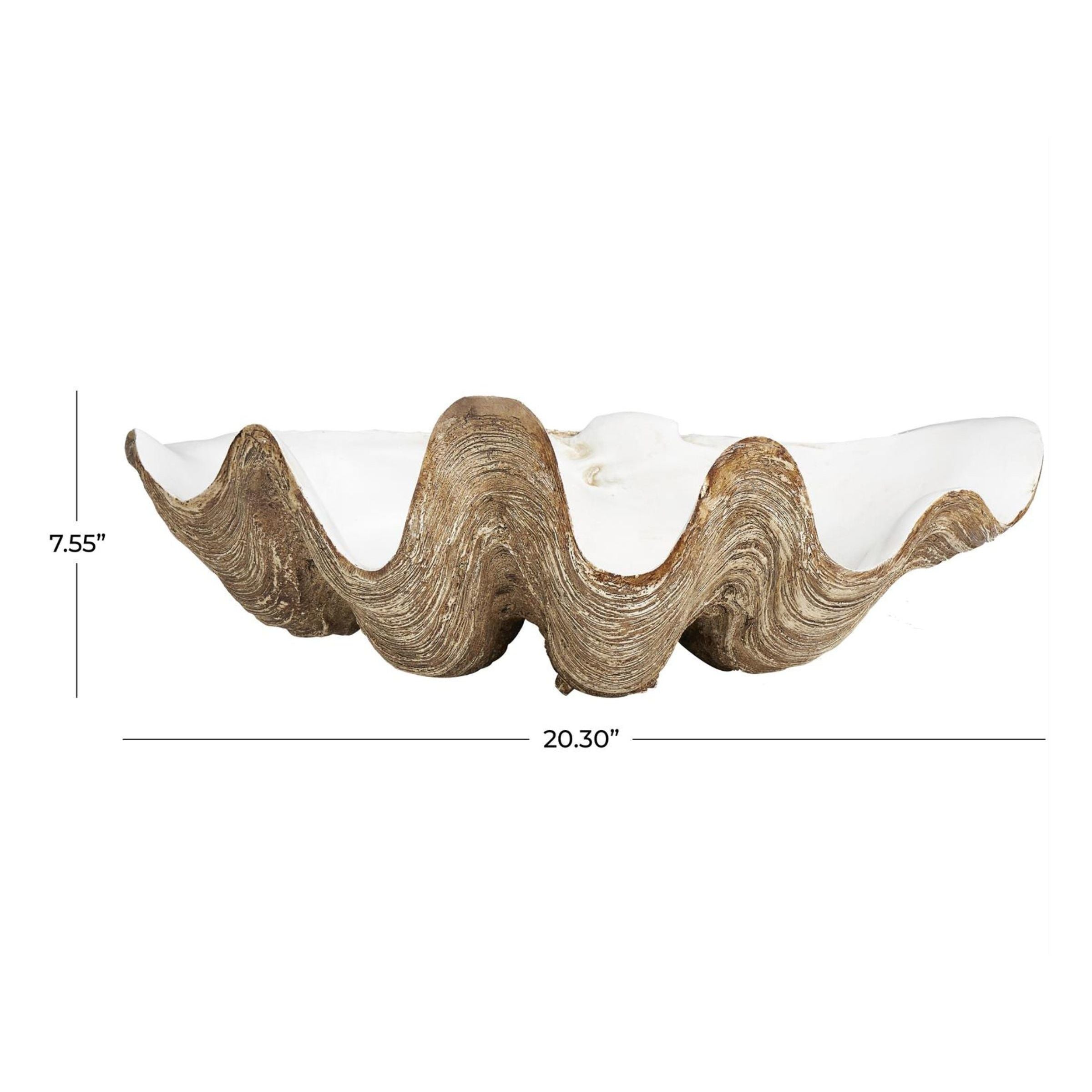 White and Brown Shell Bowl 20"W x 8"H
