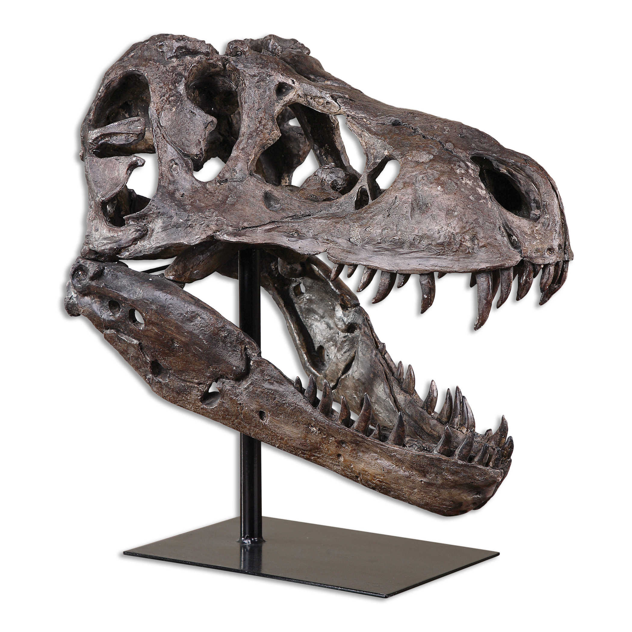 Tyrannosaurus Faux Skull 19"W x 20"H
