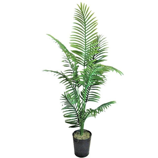 Palm in Decorative Metal Pot 6'H