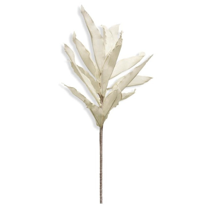 White Foam Ruscus Stem 48"H