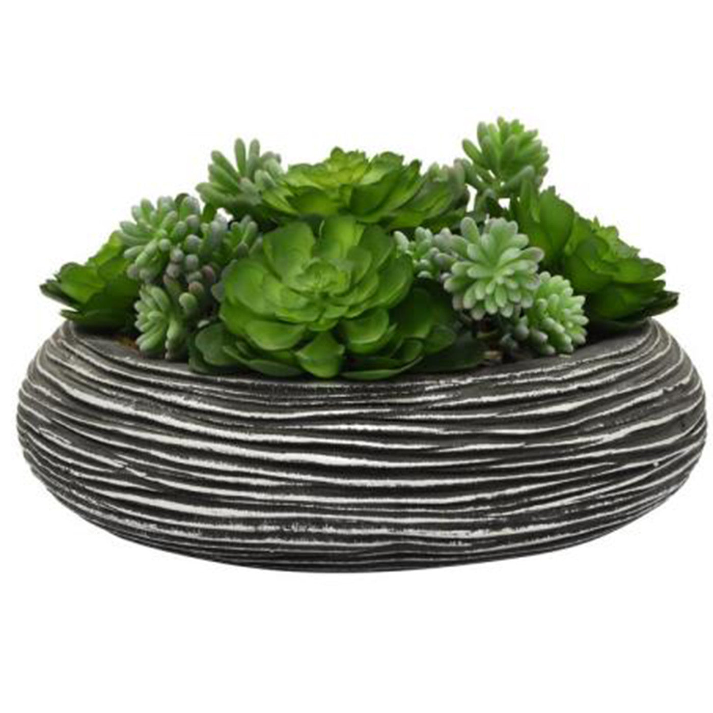 Faux Succulents In Black Textured Pot 14"W x 9"H