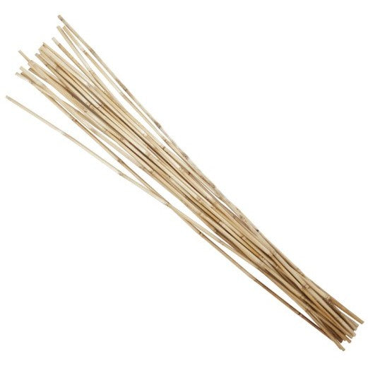 Natural Bamboo Sticks Bundle 7"W x 41"H