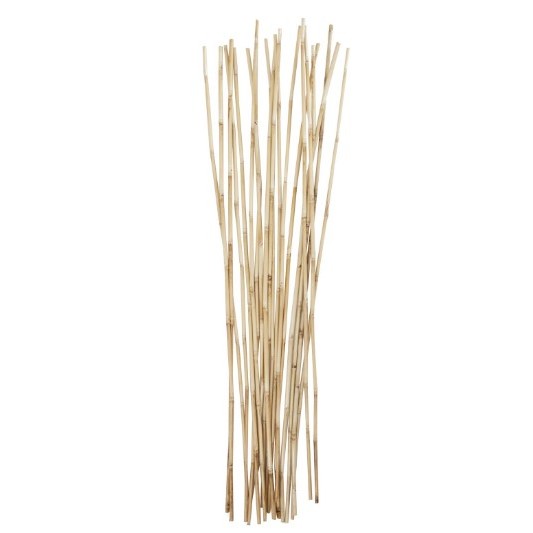 Natural Bamboo Sticks Bundle 7"W x 41"H