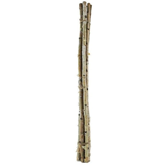 Birch Wood Bundle 48"H