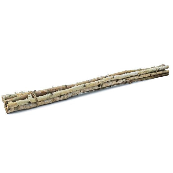 Birch Wood Bundle 48"H