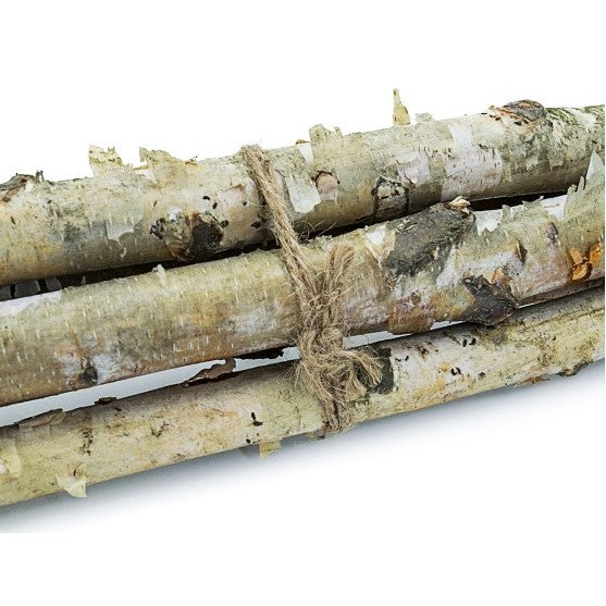 Birch Wood Bundle 48"H