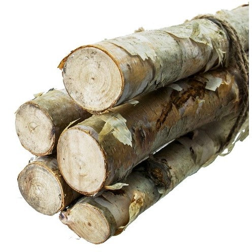 Birch Wood Bundle 48"H