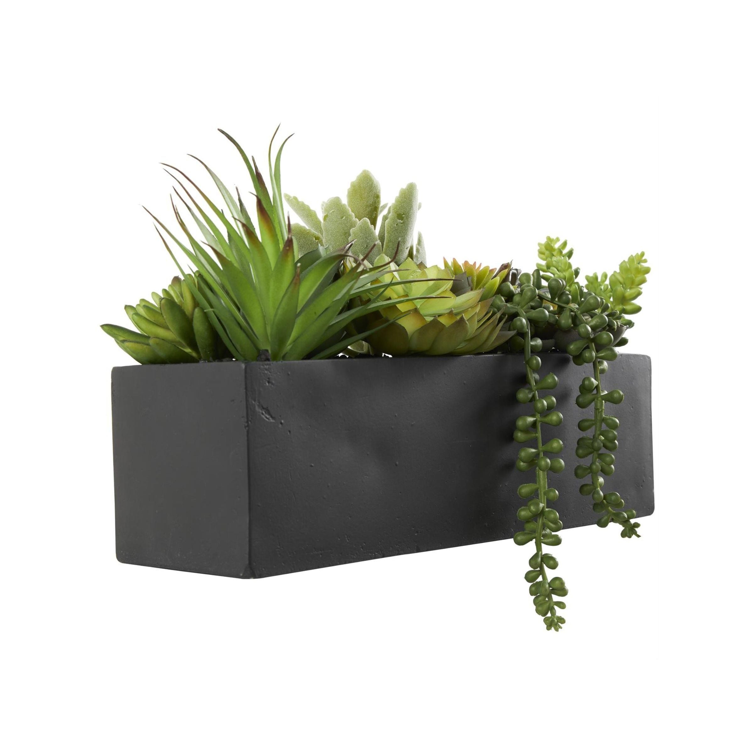 Faux Succulents In Black Box 14"W x 8"H