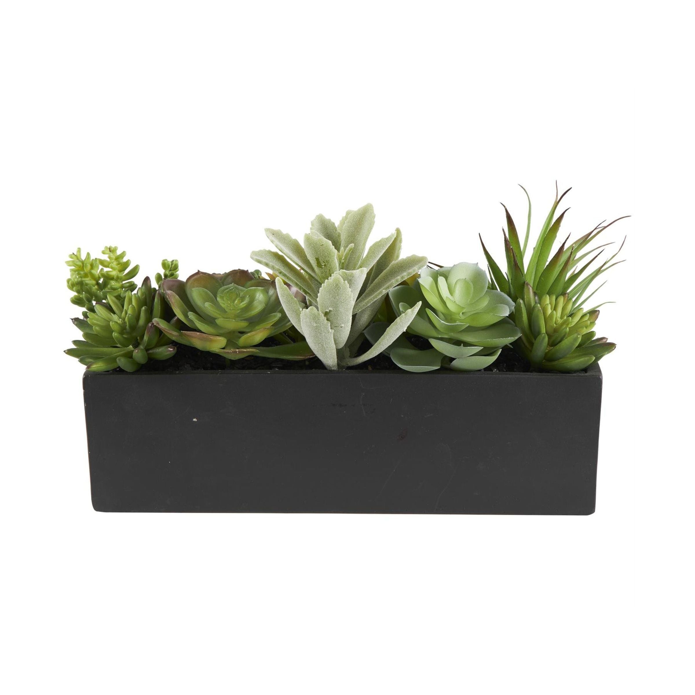 Faux Succulents In Black Box 14"W x 8"H