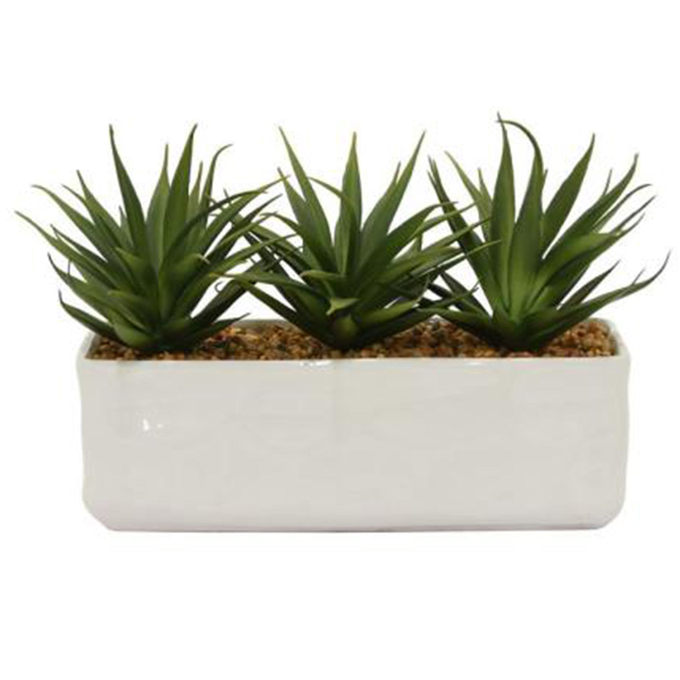 Succulents With Gravel In White Pot 12"W x 7"H