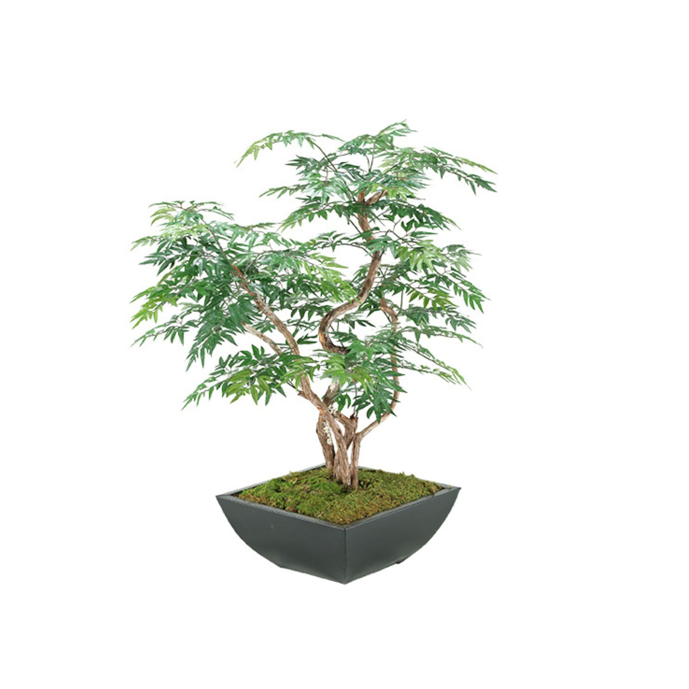 Artificial bonsai tree with green leaves in a modern black square pot.
