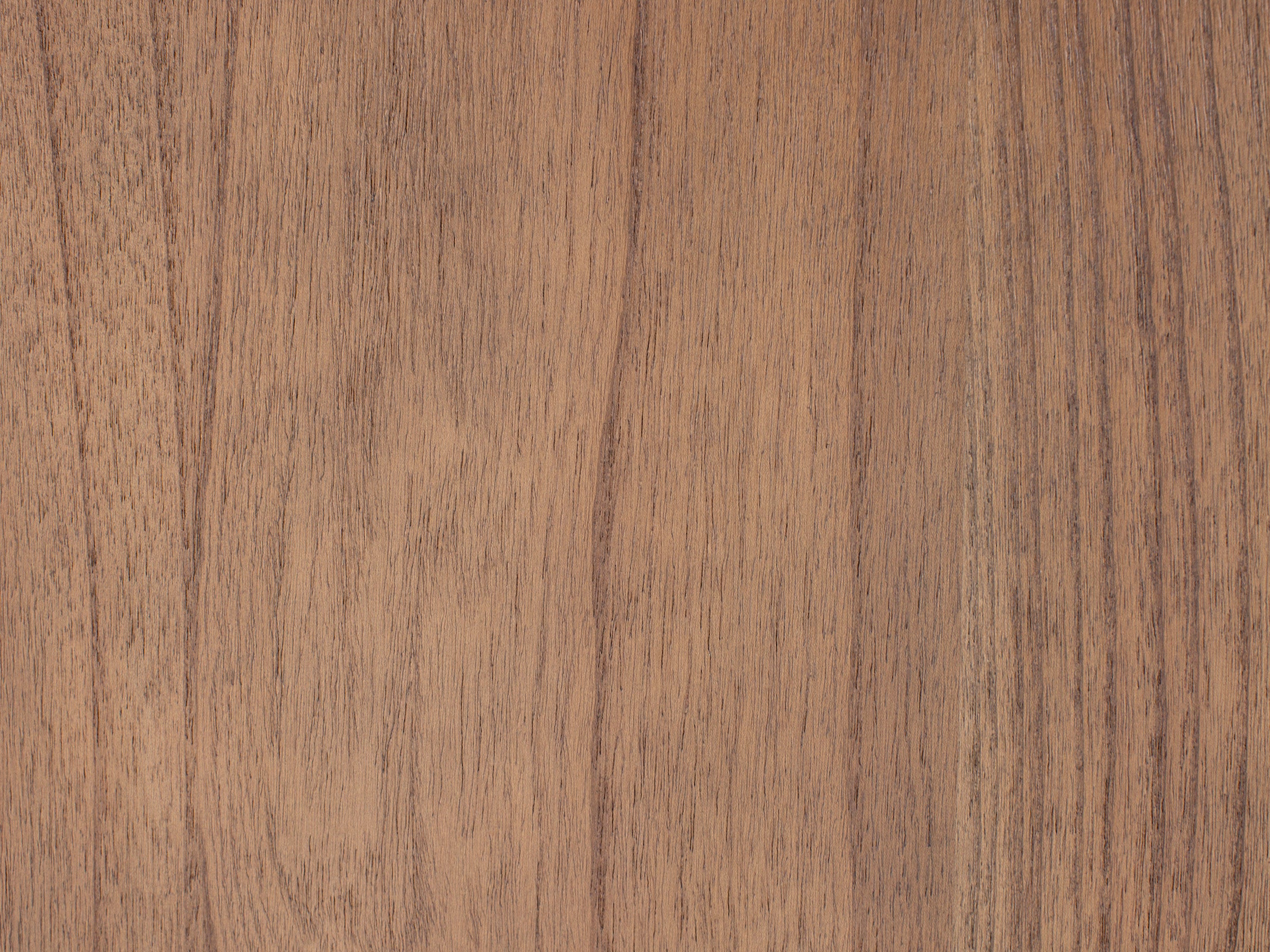 Wanderland Eve Credenza