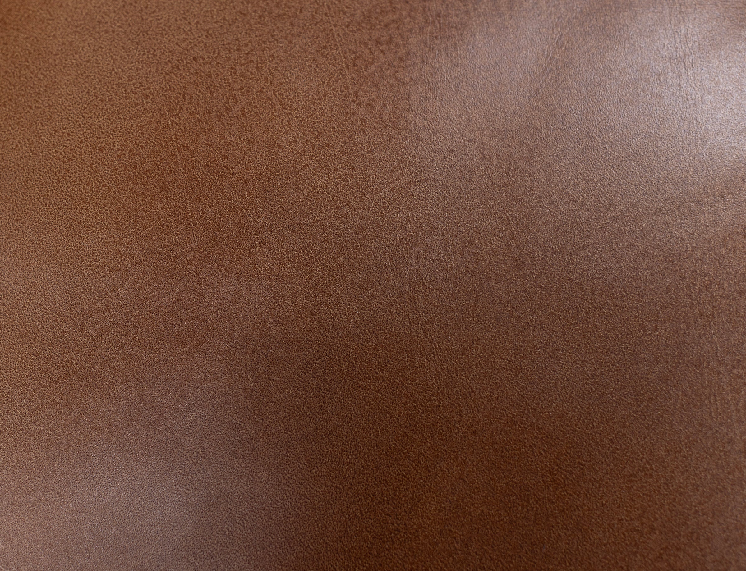 Carter Leather Swivel Club Chair