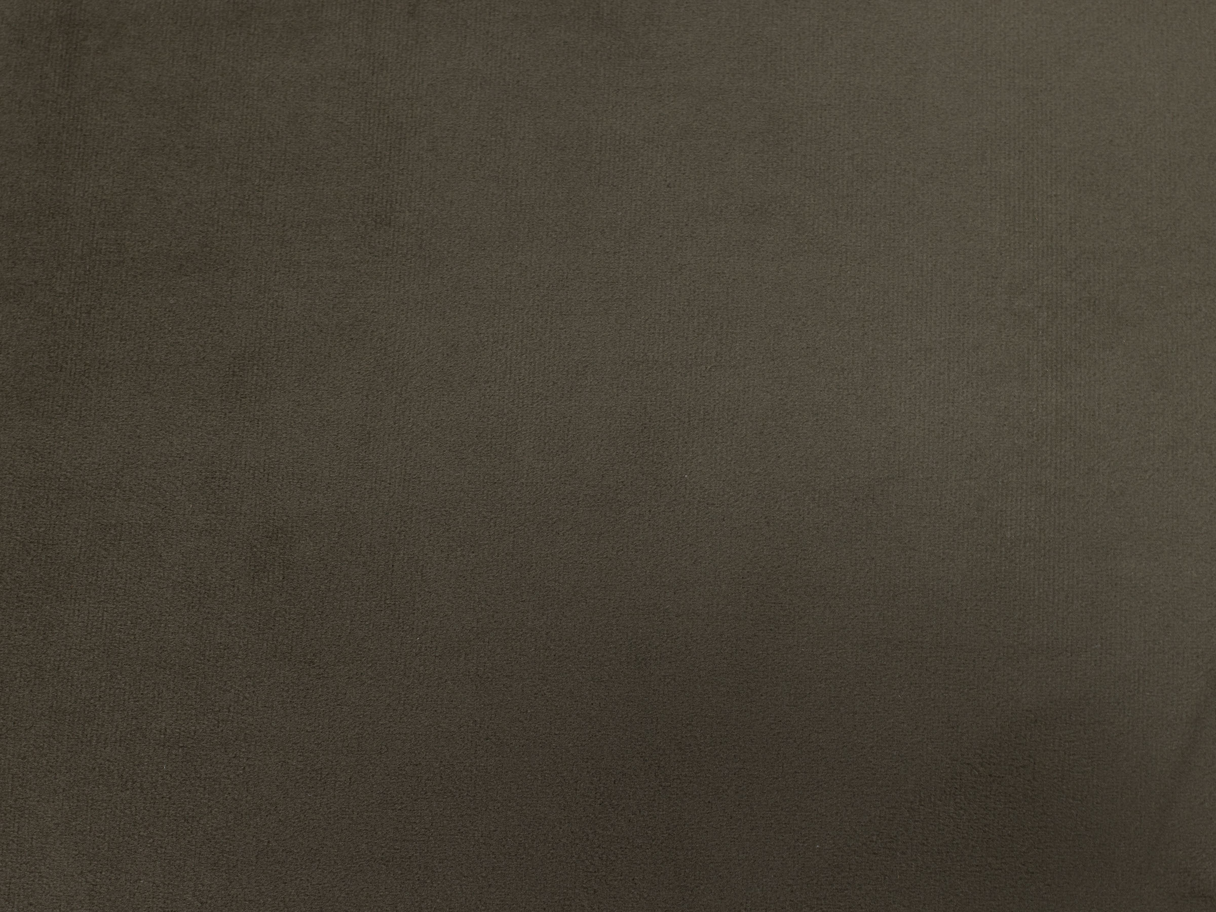 Solid dark olive fabric texture sample.