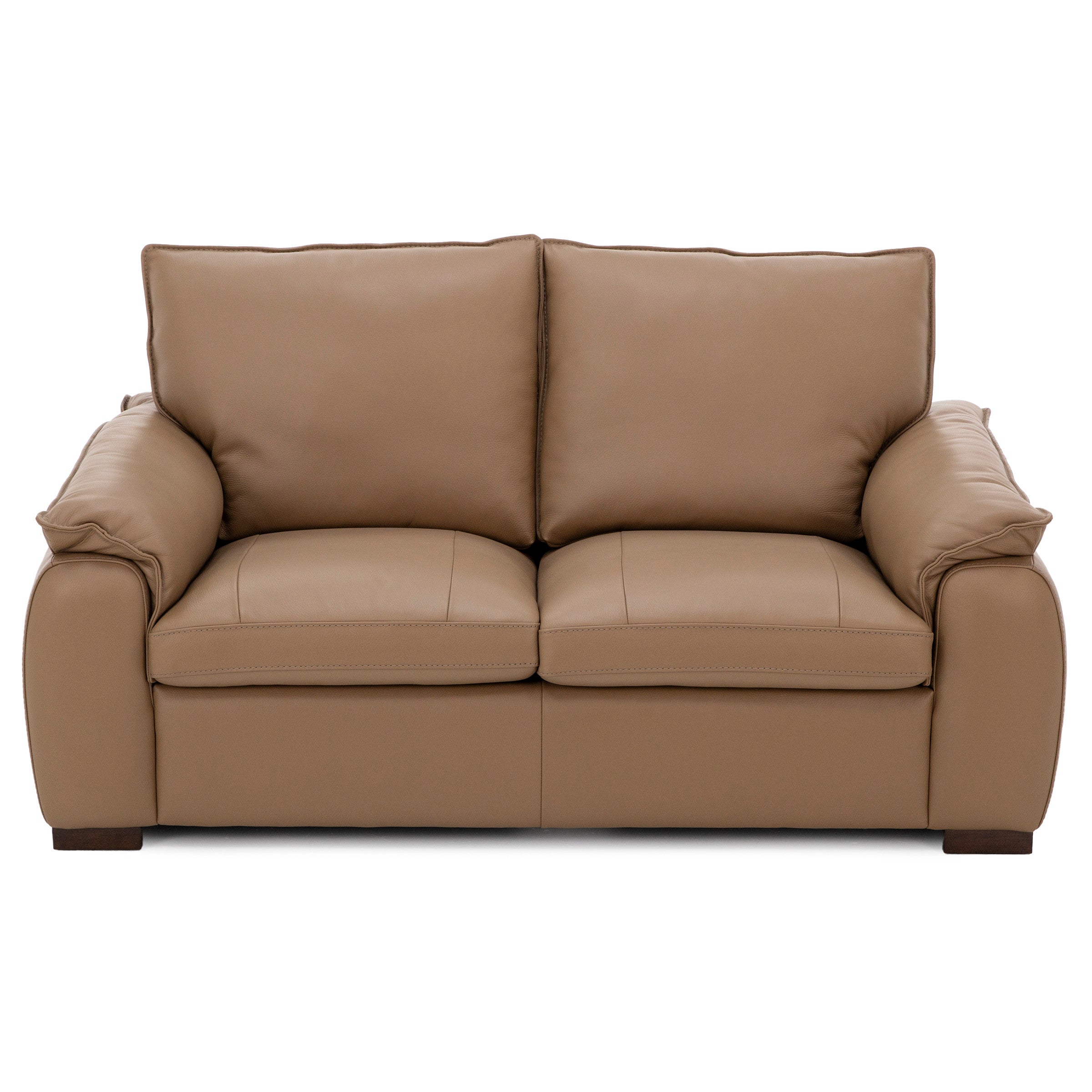 Luna Leather Loveseat