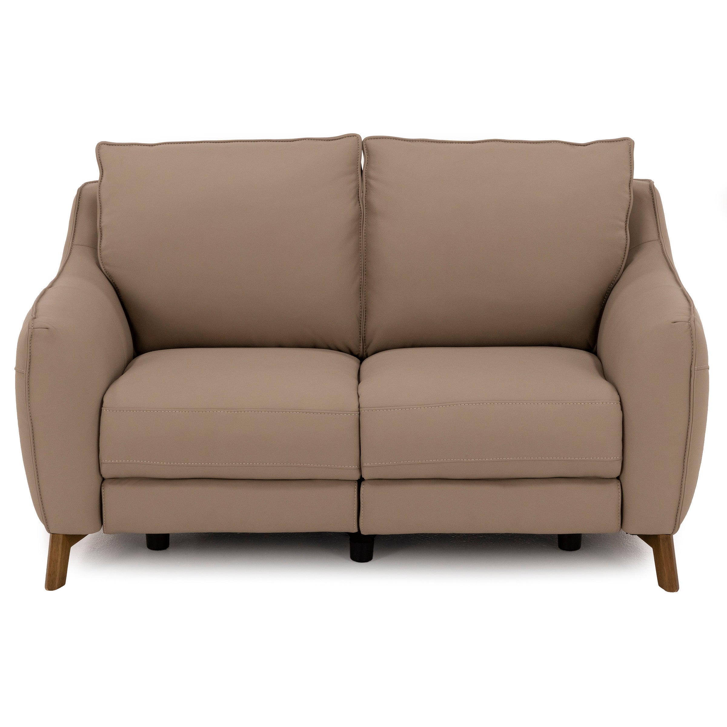 Palmetto Leather Power Reclining Loveseat