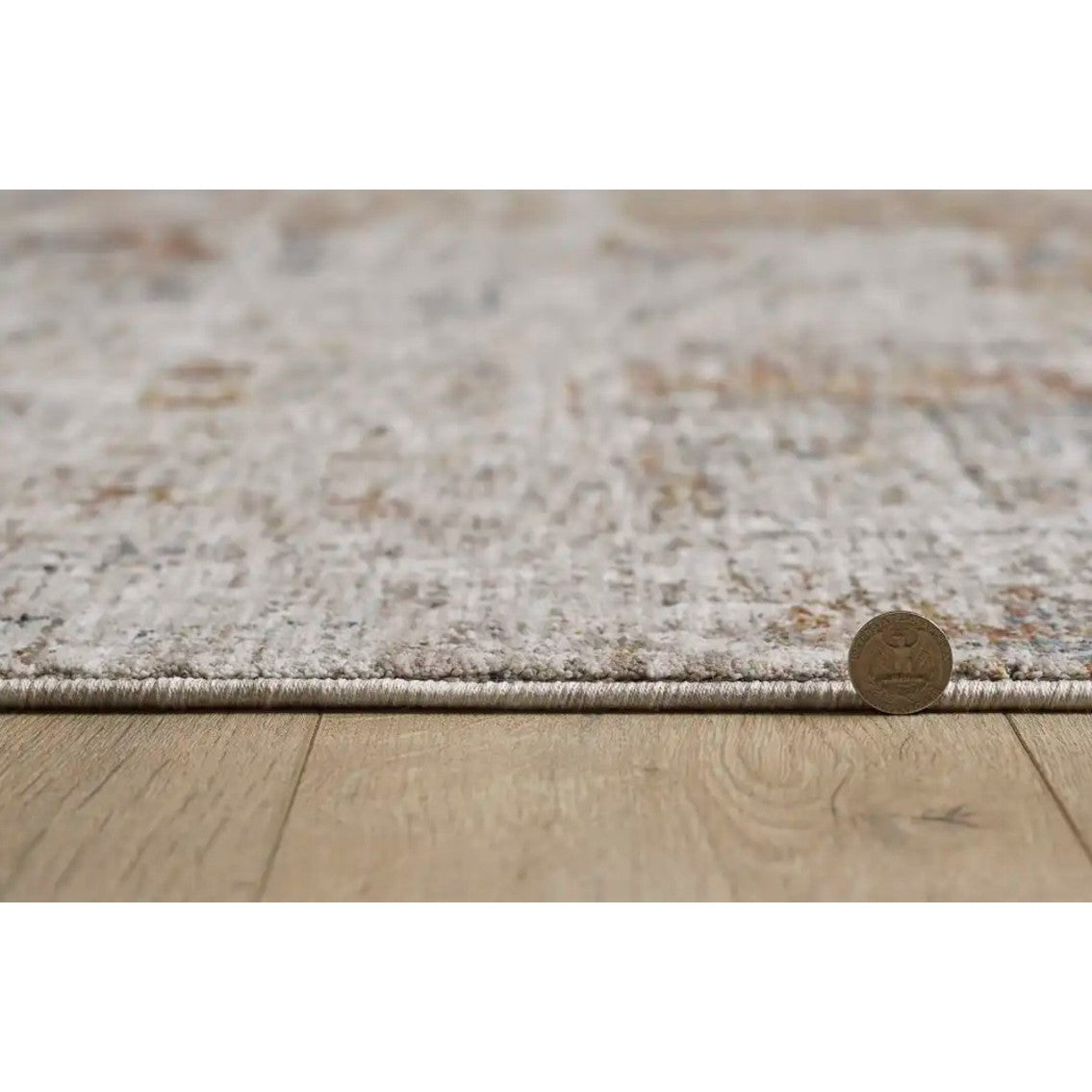 Avani Ivory/Spice Area Rug