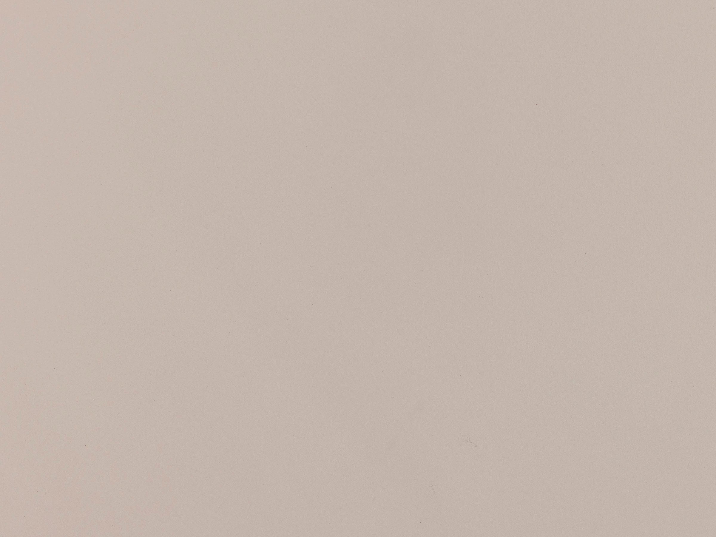 Solid light beige background, decorative image.