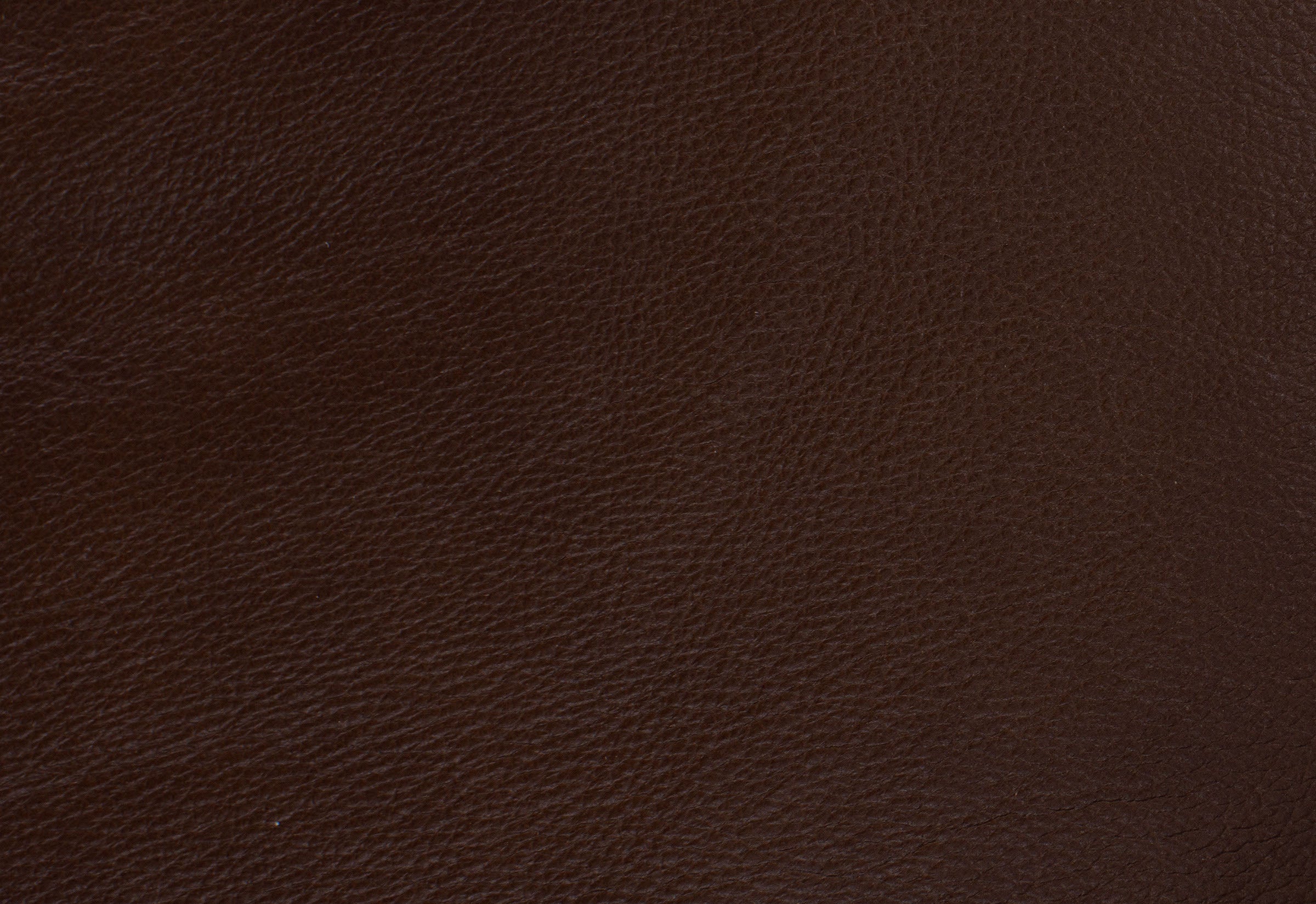 Close-up of dark brown leather texture.