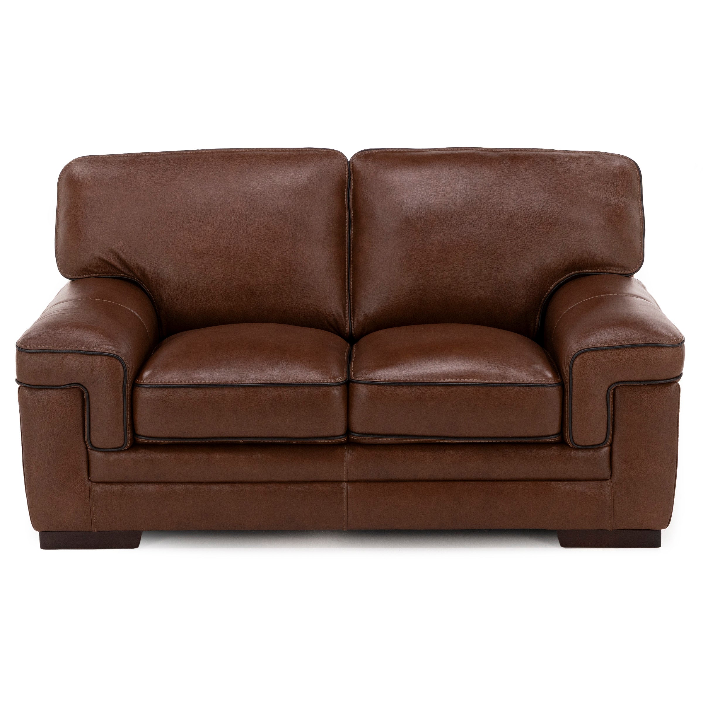 Piper Leather Loveseat