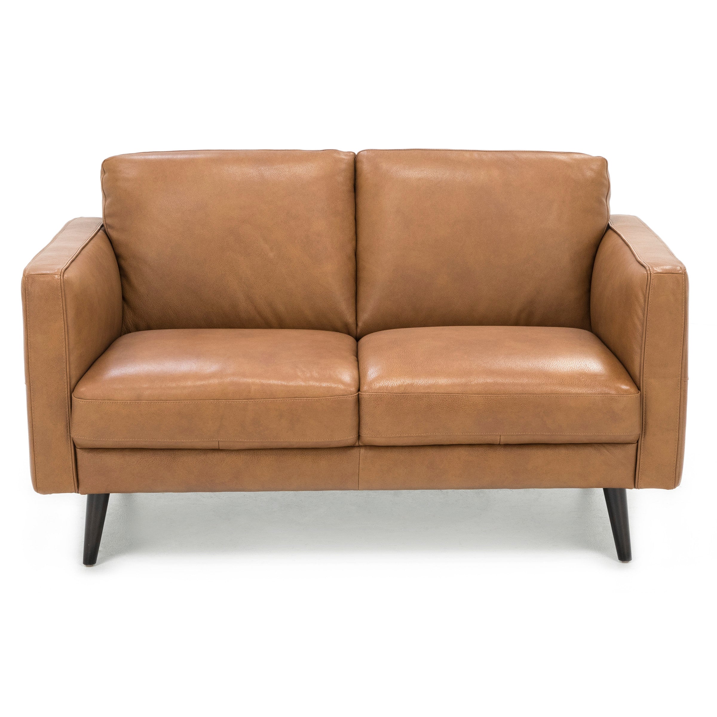 Turin Leather Loveseat