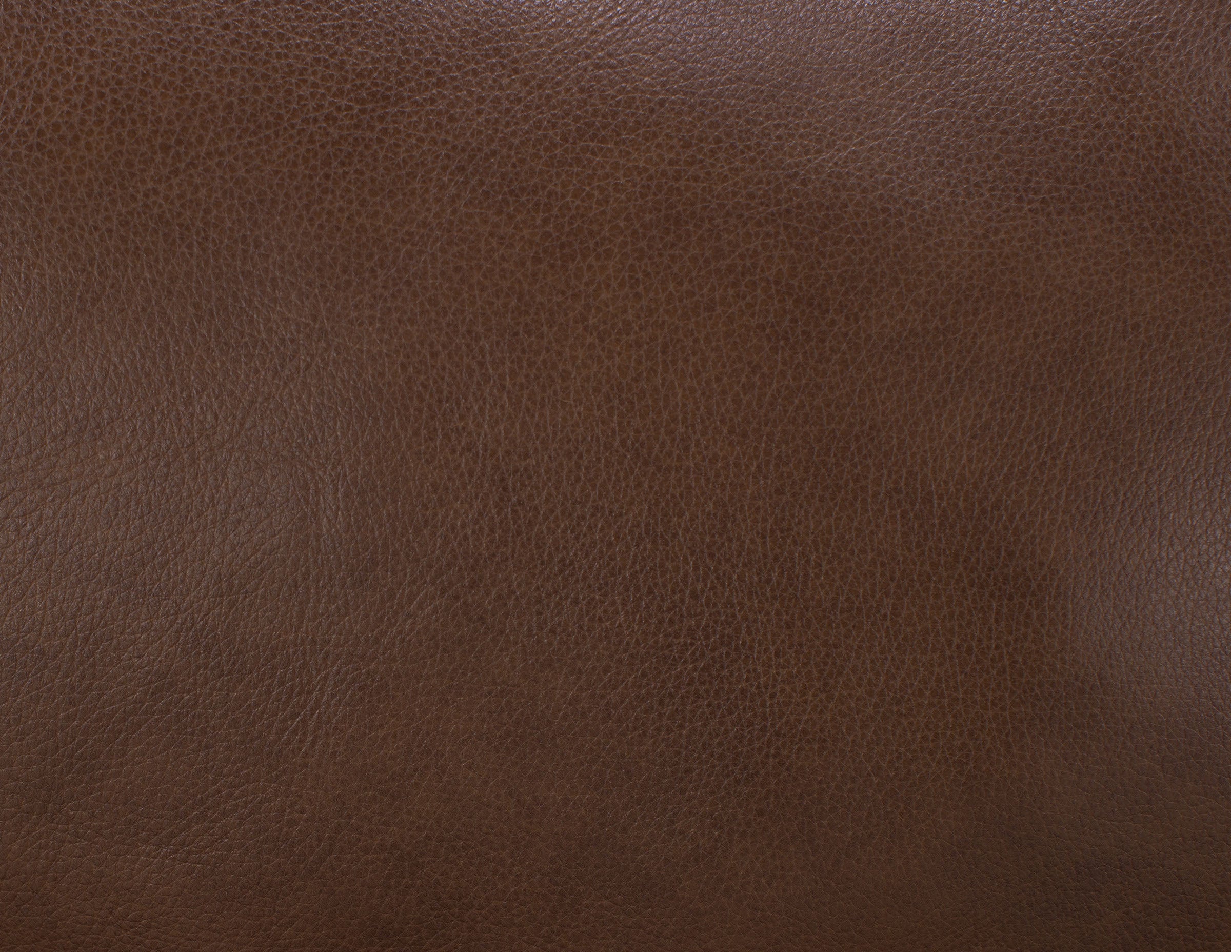 Tyson Leather Fully Loaded Zero Gravity Console Reclining Loveseat