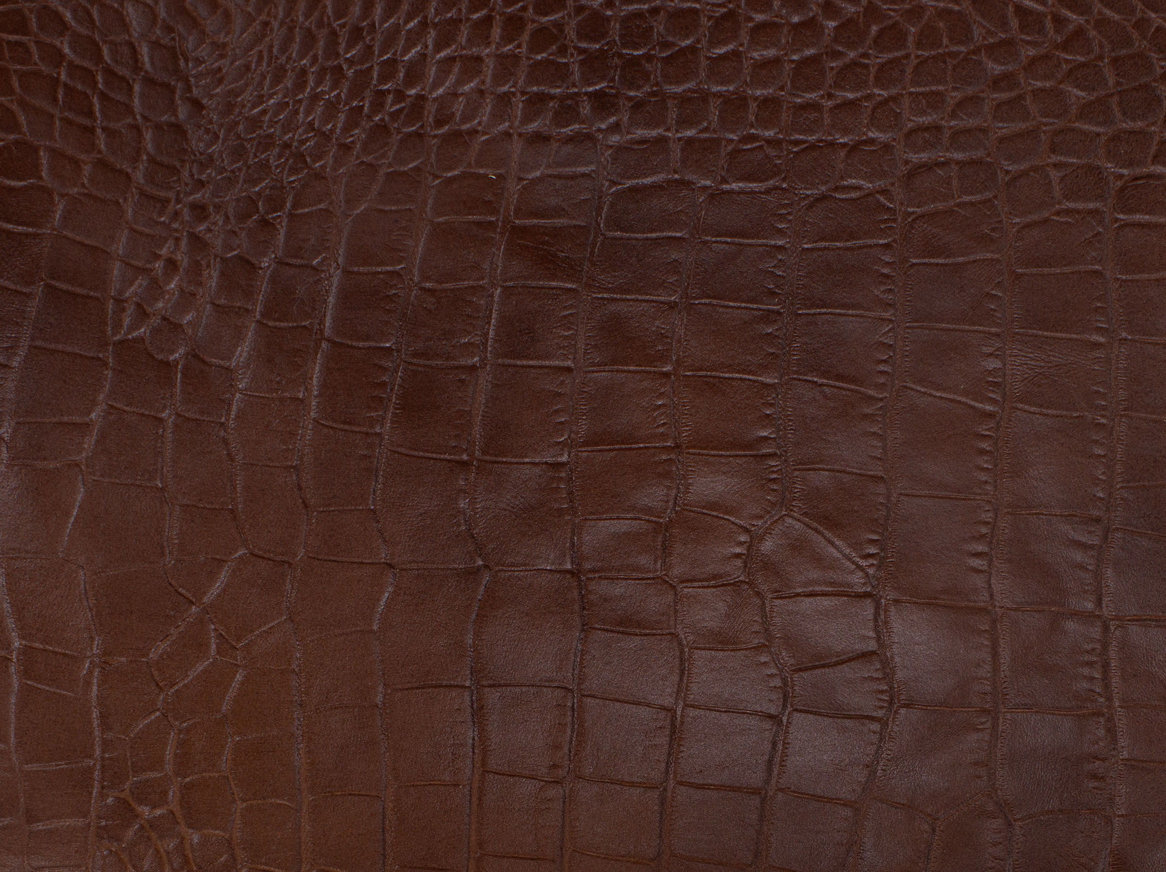 Brown leather with embossed crocodile texture.