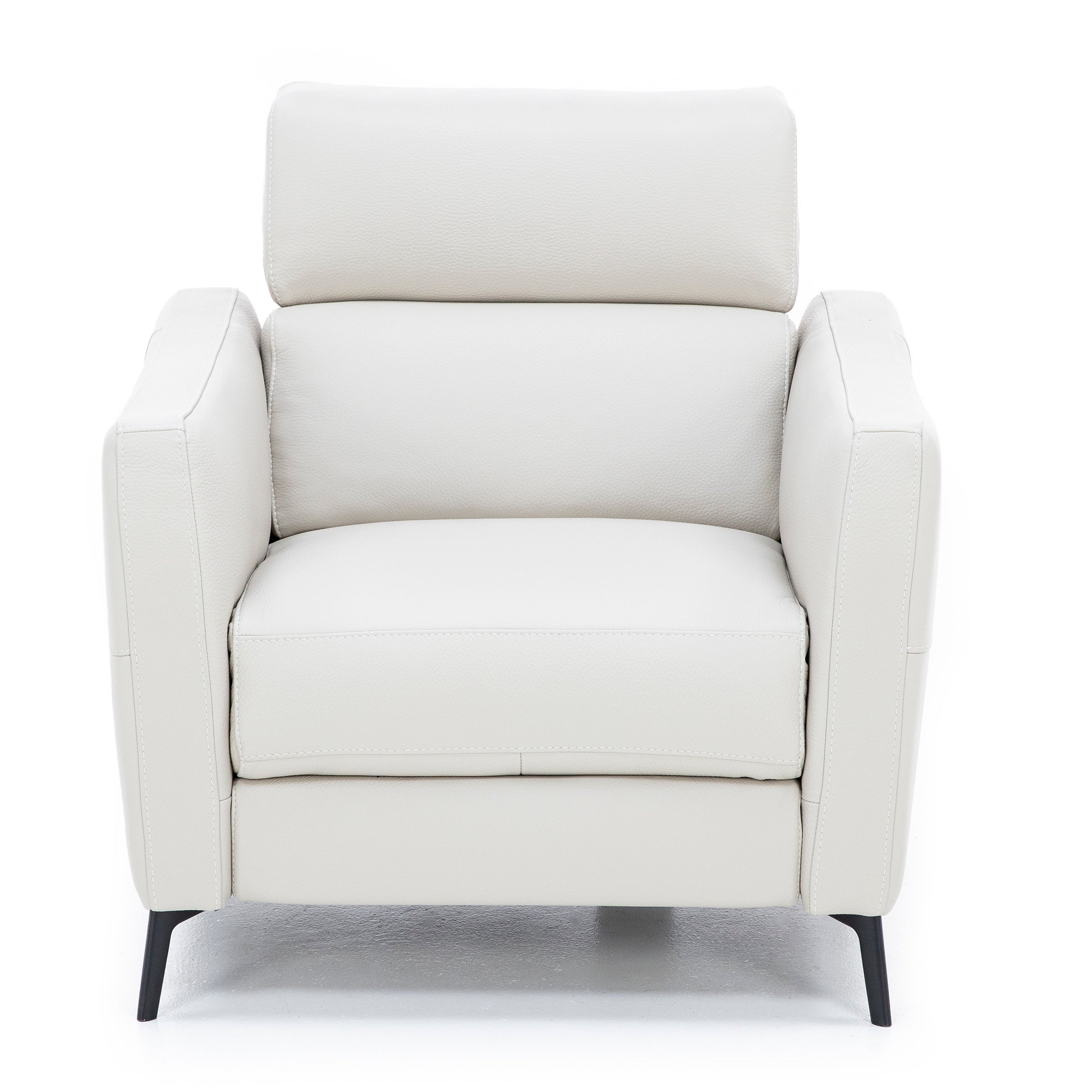 Gabriel Leather Power Headrest Recliner
