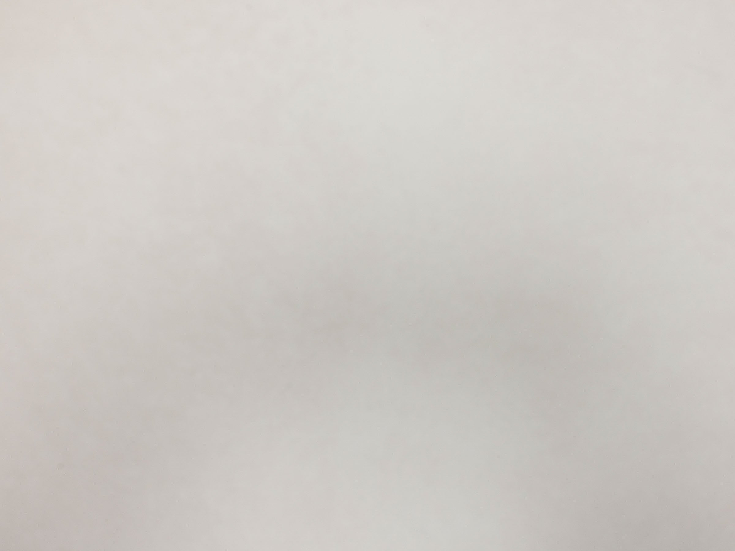 Solid white background, no visible objects. Decorative image.
