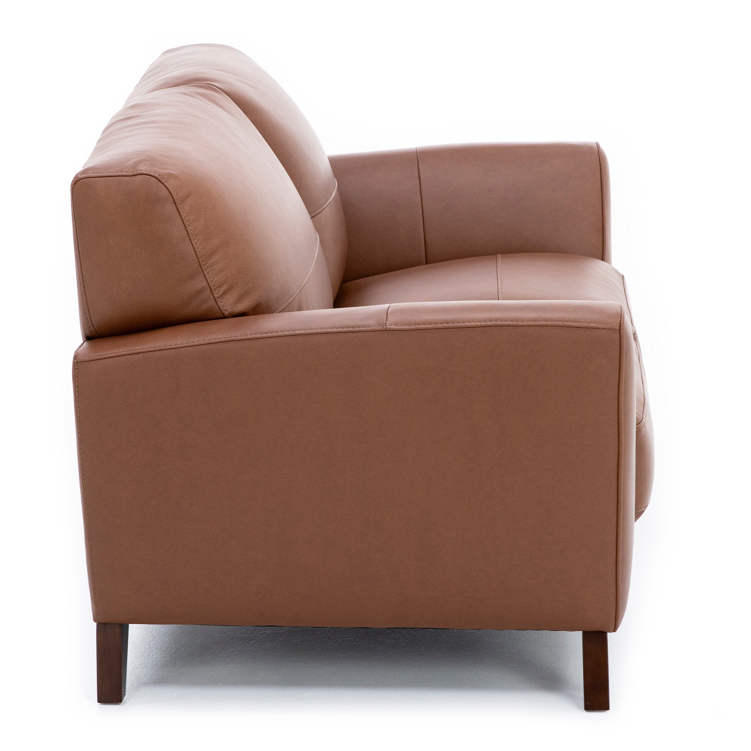 Paloma Leather Loveseat