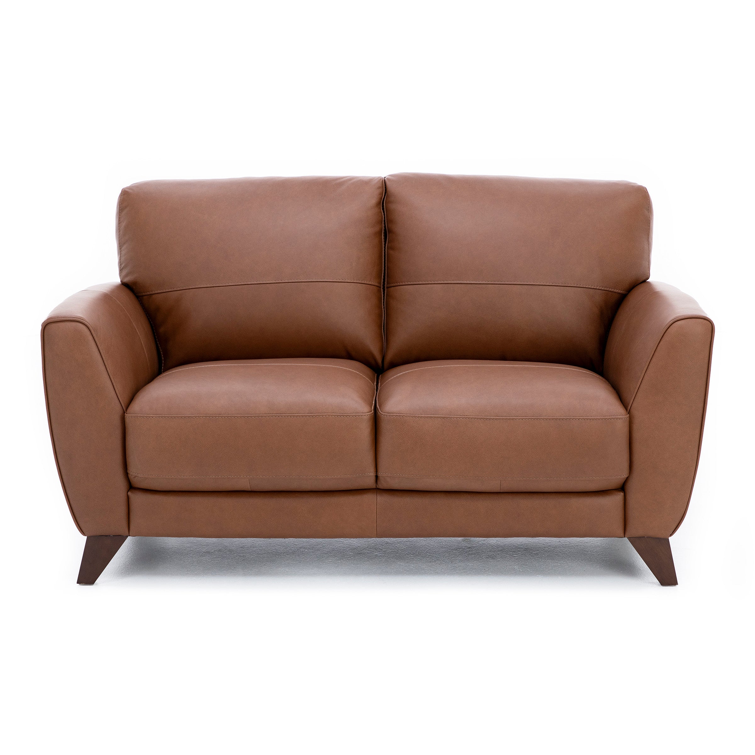 Paloma Leather Loveseat