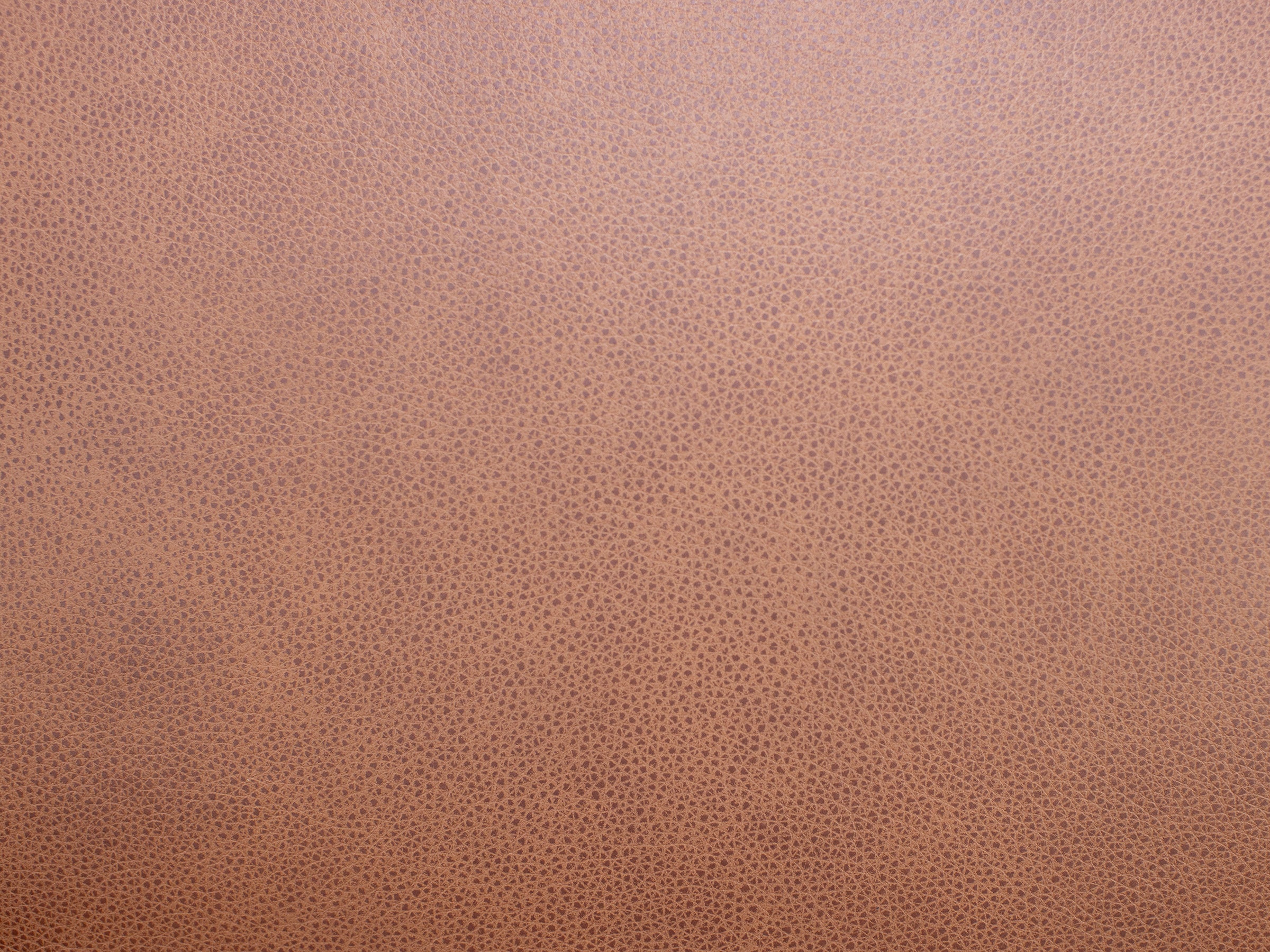 Paloma Leather Loveseat